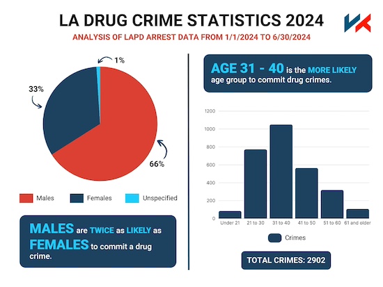 2 charts showcasing the LAPD Drug Crime Data from 2024. The first is showing the gender breakdown in the form of a pie chart, and another showing a bar chart of age distribution.