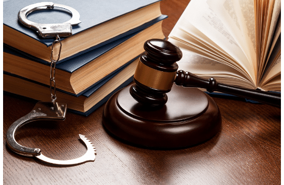 What Types of Cases Can a Criminal Lawyer Defend?